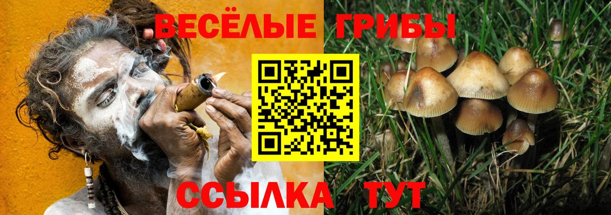 Псилоцибиновые грибы мухоморы  Псилоцибиновые грибы Psilocybine cubensis  закладка  Братск  Вход с VPN 