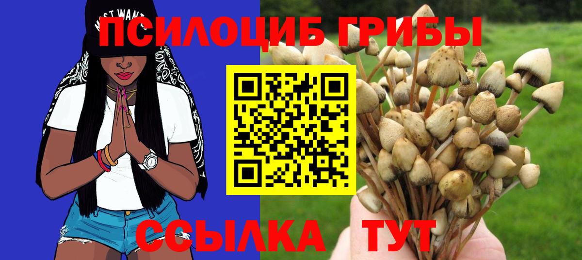 Псилоцибиновые грибы GOLDEN TEACHER Братск